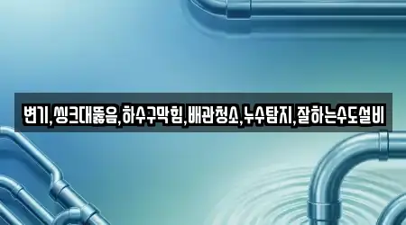 변기,씽크대뚫음,하수구막힘,배관청소,누수탐지,잘하는수도설비
