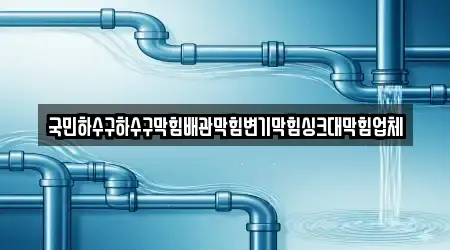 국민하수구하수구막힘배관막힘변기막힘싱크대막힘업체