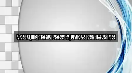 누수탐지,베란다욕실외벽옥상방수,판넬수도난방설비금강하우징
