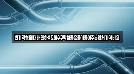 변기막혔을때배관하수도하수구막힘뚫음뚫기뚫어주는업체가격비용