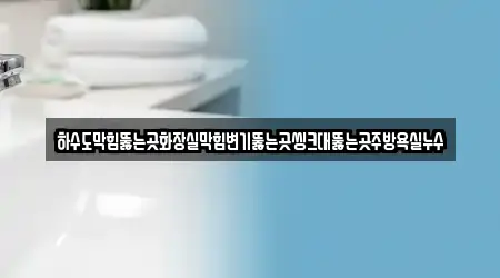 하수도막힘뚫는곳화장실막힘변기뚫는곳씽크대뚫는곳주방욕실누수