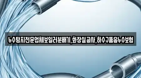 누수탐지전문업체보일러분배기,화장실공사,하수구뚫음누수보험
