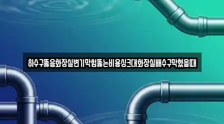 하수구뚫음화장실변기막힘뚫는비용싱크대화장실배수구막혔을때