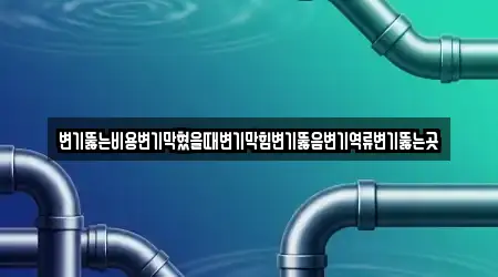 변기뚫는비용변기막혔을때변기막힘변기뚫음변기역류변기뚫는곳