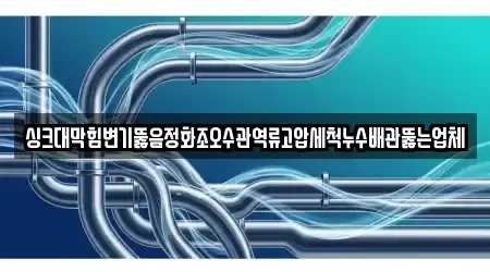 싱크대막힘변기뚫음정화조오수관역류고압세척누수배관뚫는업체