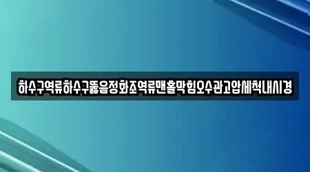 하수구역류하수구뚫음정화조역류맨홀막힘오수관고압세척내시경
