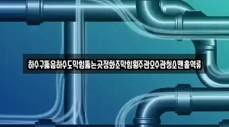 하수구뚫음하수도막힘뚫는곳정화조막힘횡주관오수관청소맨홀역류