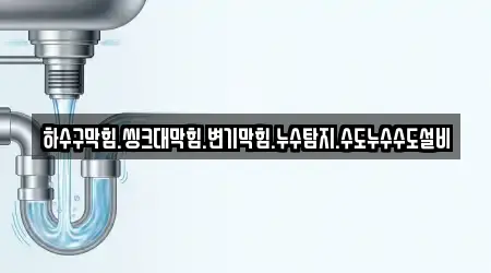 하수구막힘.씽크대막힘.변기막힘.누수탐지.수도누수수도설비