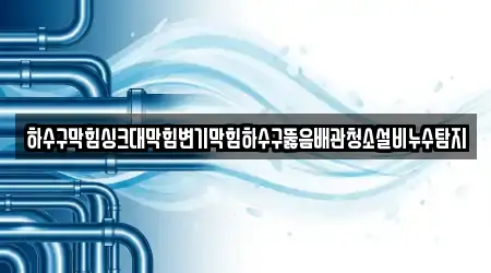 하수구막힘싱크대막힘변기막힘하수구뚫음배관청소설비누수탐지