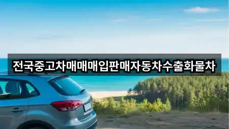 전국중고차매매매입판매자동차수출화물차