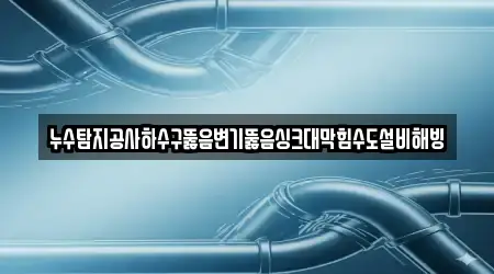 누수탐지공사하수구뚫음변기뚫음싱크대막힘수도설비해빙