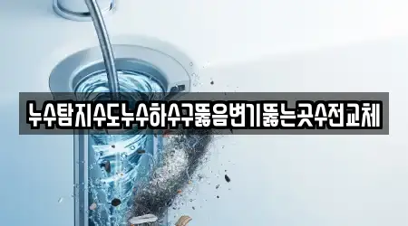 누수탐지수도누수하수구뚫음변기뚫는곳수전교체
