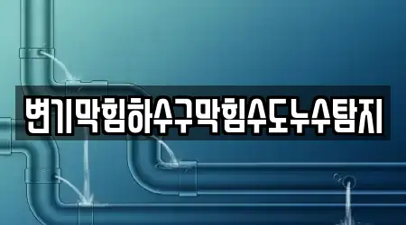 변기막힘하수구막힘수도누수탐지