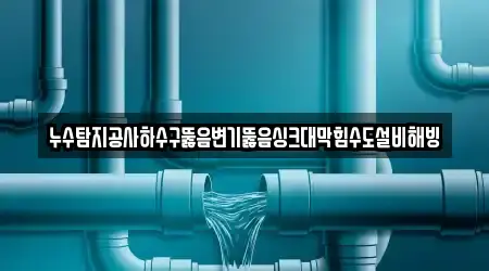누수탐지공사하수구뚫음변기뚫음싱크대막힘수도설비해빙