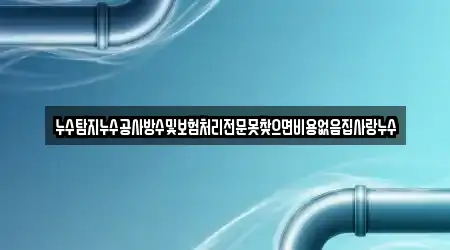 누수탐지누수공사방수및보험처리전문못찾으면비용없음집사랑누수