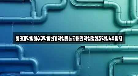 싱크대막힘하수구막힘변기막힘뚫는곳배관막힘정화조막힘누수탐지