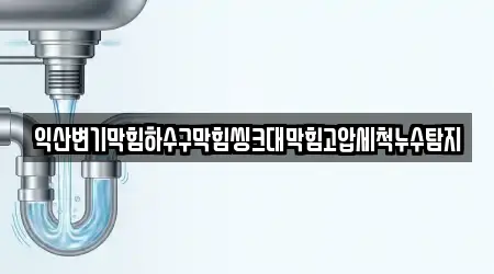 익산변기막힘하수구막힘씽크대막힘고압세척누수탐지
