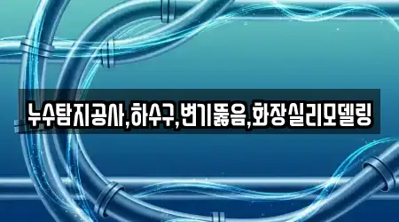 누수탐지공사,하수구,변기뚫음,화장실리모델링