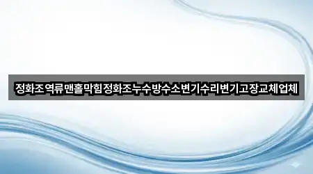 정화조역류맨홀막힘정화조누수방수소변기수리변기고장교체업체