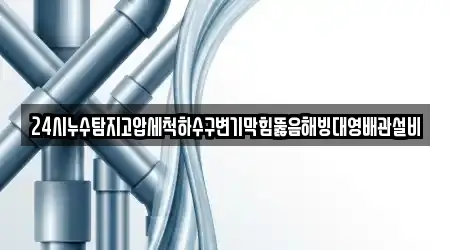 24시누수탐지고압세척하수구변기막힘뚫음해빙대영배관설비