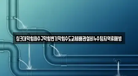 싱크대막힘하수구막힘변기막힘수도교체배관설비누수탐지역류해빙