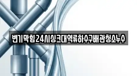 변기막힘24시싱크대역류하수구배관청소누수