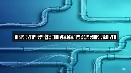 시하수구변기막힘막혔을때배관뚫음뚫기역류집수정배수구뚫어변기