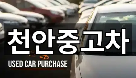충남 신당동 중고차 · 인기 5곳