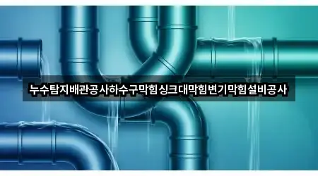 누수탐지배관공사하수구막힘싱크대막힘변기막힘설비공사