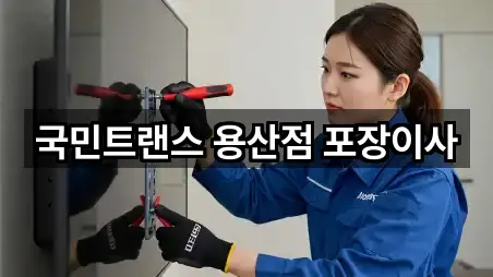 국민트랜스 용산점 포장이사