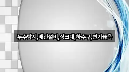 누수탐지,배관설비,싱크대,하수구,변기뚫음