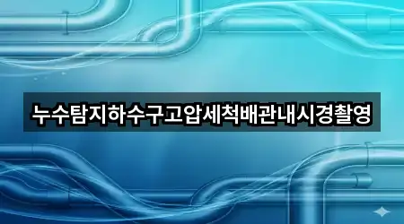 누수탐지하수구고압세척배관내시경촬영