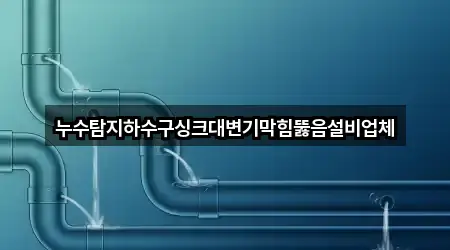 누수탐지하수구싱크대변기막힘뚫음설비업체