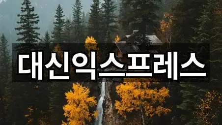 대신익스프레스