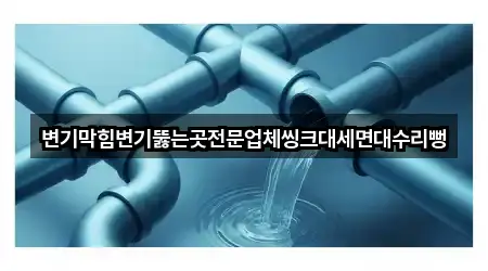 변기막힘변기뚫는곳전문업체씽크대세면대수리뻥