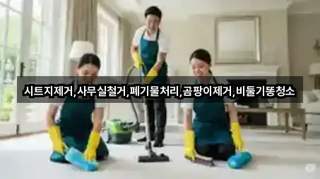 시트지제거,사무실철거,폐기물처리,곰팡이제거,비둘기똥청소