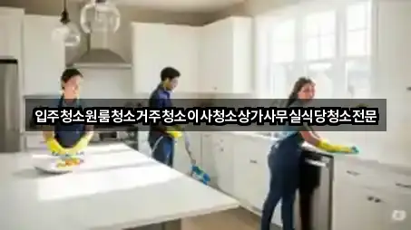 입주청소원룸청소거주청소이사청소상가사무실식당청소전문