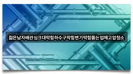 젊은남자배관싱크대막힘하수구막힘변기막힘뚫는업체고압청소
