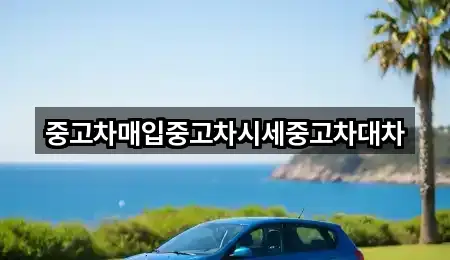 중고차매입중고차시세중고차대차