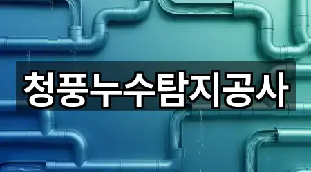청풍누수탐지공사