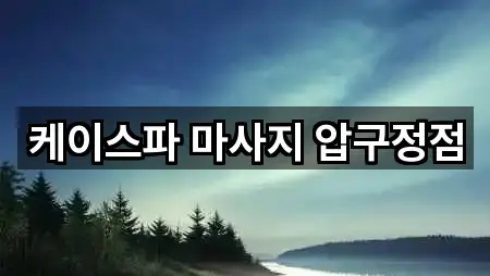 케이스파 마사지 압구정점