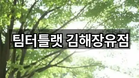 팀터틀랫 김해장유점