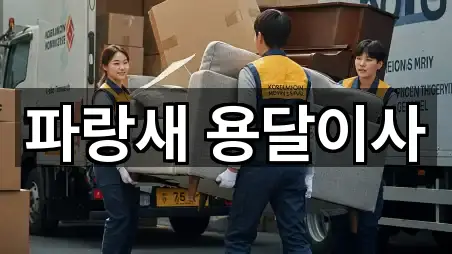 파랑새 용달이사