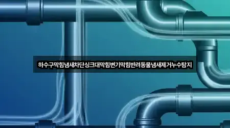 하수구막힘냄새차단싱크대막힘변기막힘반려동물냄새제거누수탐지