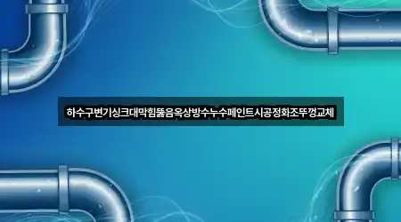 하수구변기싱크대막힘뚫음옥상방수누수페인트시공정화조뚜껑교체