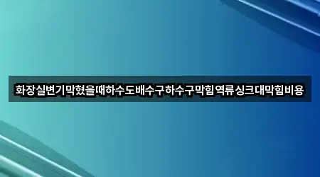 화장실변기막혔을때하수도배수구하수구막힘역류싱크대막힘비용