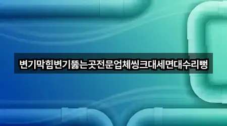 변기막힘변기뚫는곳전문업체씽크대세면대수리뻥