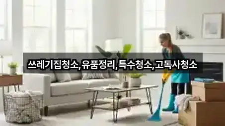 쓰레기집청소,유품정리,특수청소,고독사청소