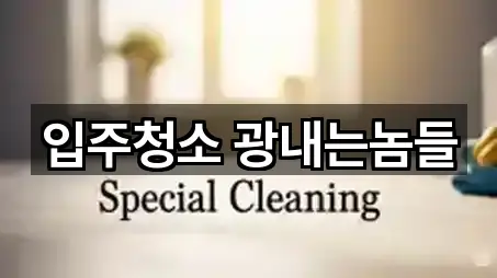 입주청소 광내는놈들