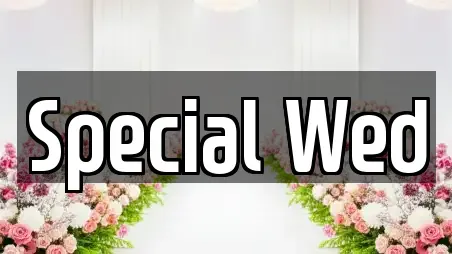 Special Wed